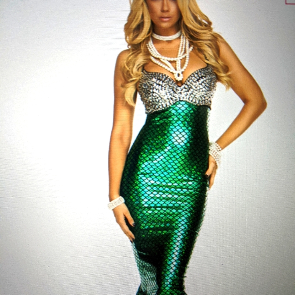 Sexy Under the Sea Mermaid Costume